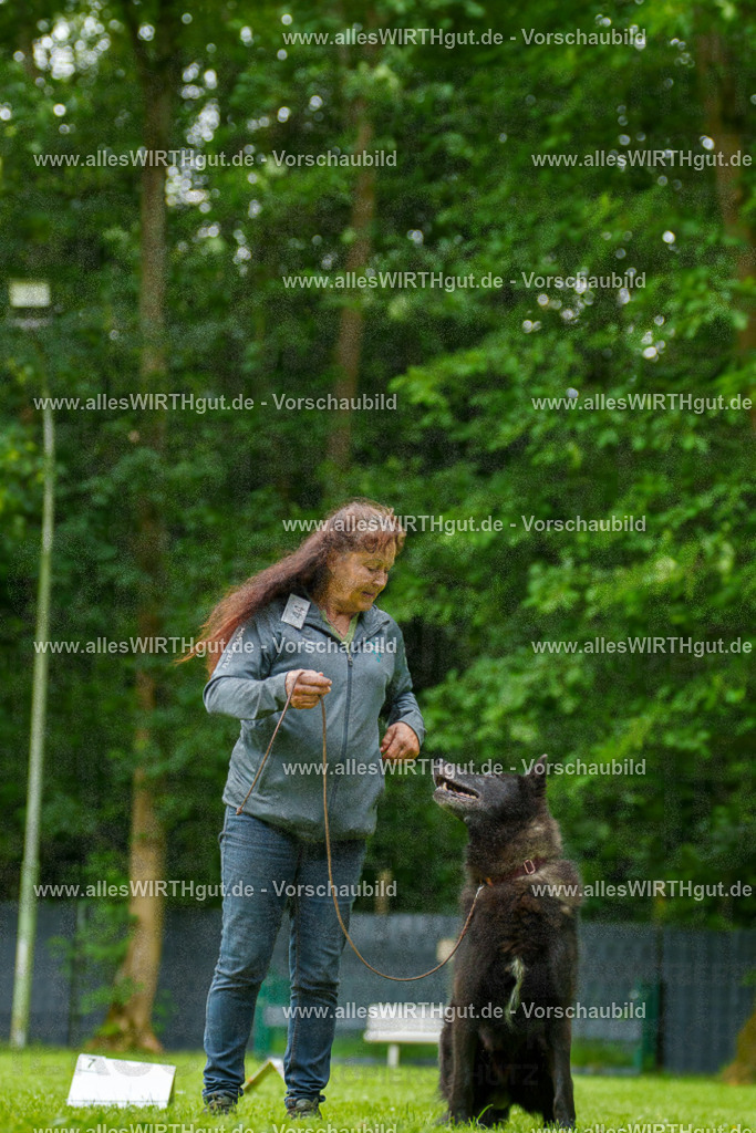 @allesWIRTHgut_Tierfotografie - www.allesWIRTHgut.de - 135516-7R500188 | Professionelle Tierfotografie in Mönchengladbach von Daniel Wirth (allesWIRTHgut). Liebevolle & natürliche Bilder von Hunden & Katzen für unvergessliche Erinnerungen.
