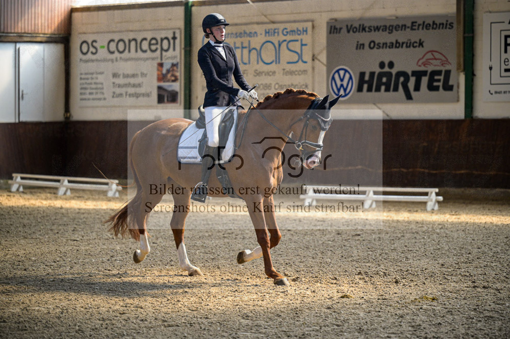 Reitturnier Voxtrup | Entdecke hochwertige Reitturnierfotos von Foto Oger. Professionell, emotional und authentisch – jetzt Lieblingsmomente im Shop bestellen.Deutschlandweite Turnierfotografie. - Realisiert mit Pictrs.com