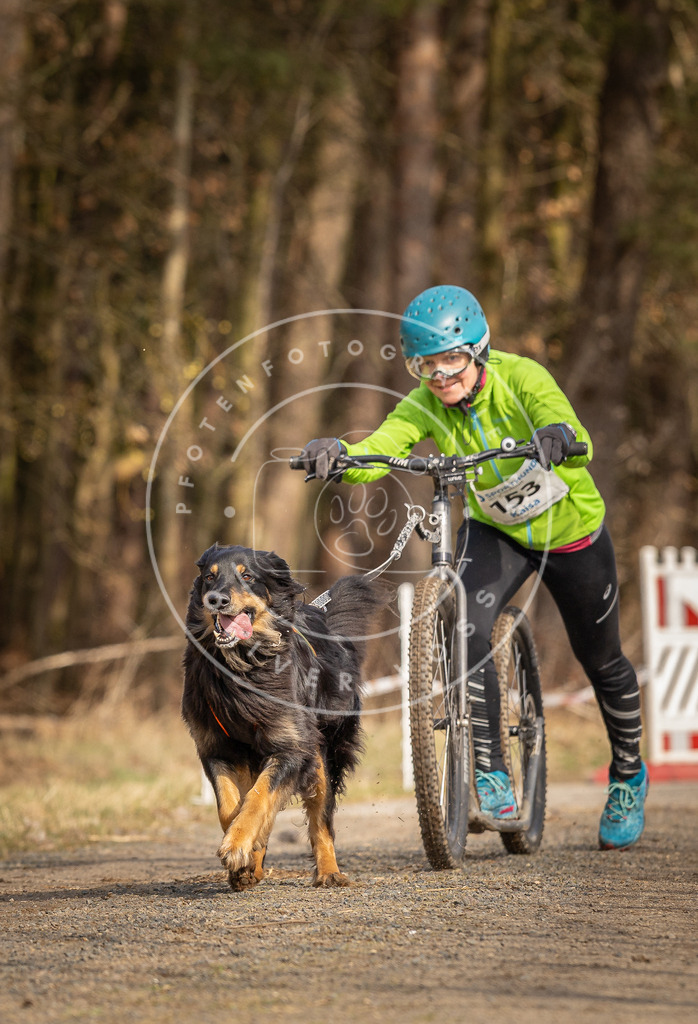 DV3A4838 | Hundefotografie, Tierfotograf, Pfotenfotografie, Fotoshooting Hund, Hunde Portrait, Hundesport, Hundeportraits, Heideshooting, Hunde, Sportfotograf, Hundefotograf, Turnierhundsport, THS,  - Realisiert mit Pictrs.com