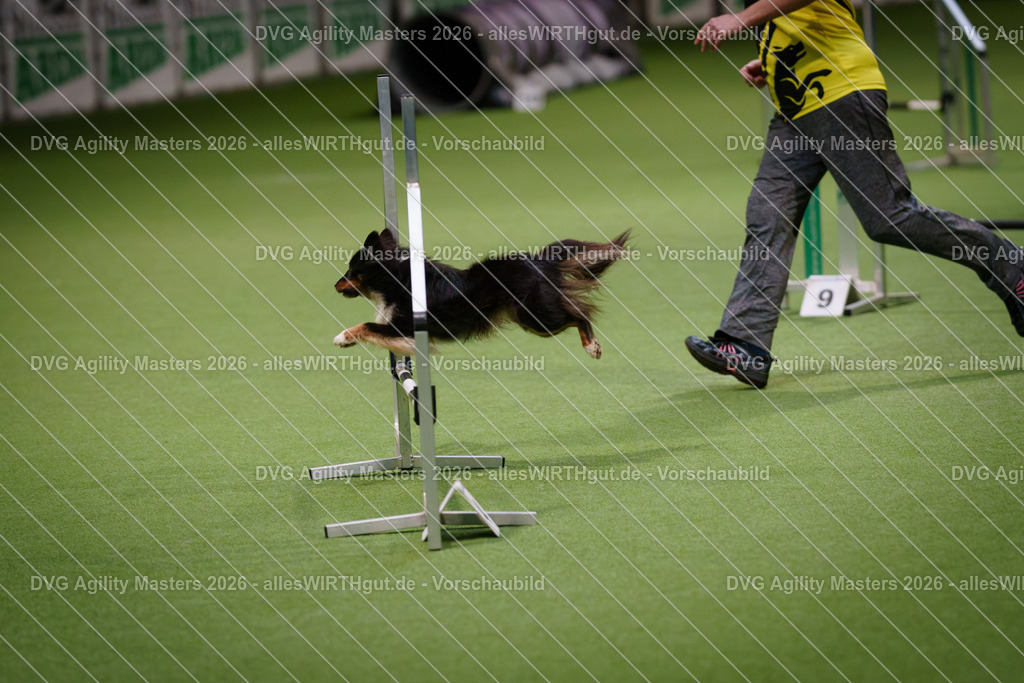 allesWIRTHgut_Tierfotografie-DVG_Agility_Masters_2026-08_07-7R507579 | Professionelle Tierfotografie in Mönchengladbach von Daniel Wirth (allesWIRTHgut). Liebevolle & natürliche Bilder von Hunden & Katzen für unvergessliche Erinnerungen.