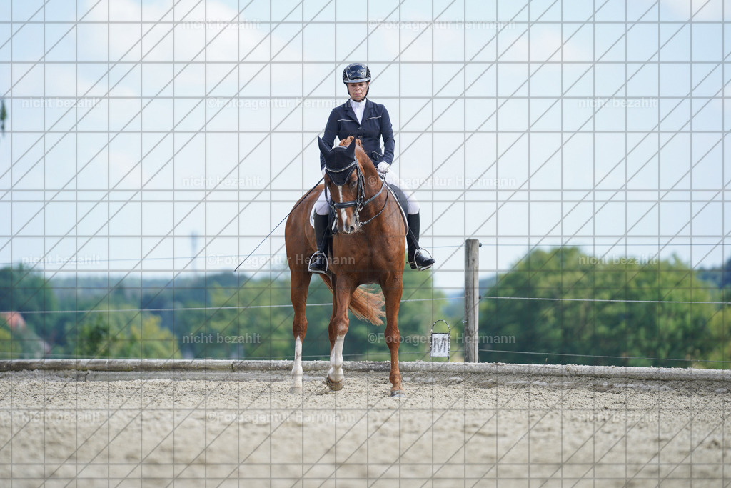 20230826-FAH06092 | Forstinning, 2023, Dressurturnier, Turniersportbilder, Turnierfotografen Bayern, Fotoagentur Herrmann, Reitsportfotografie, Turnierbilder
