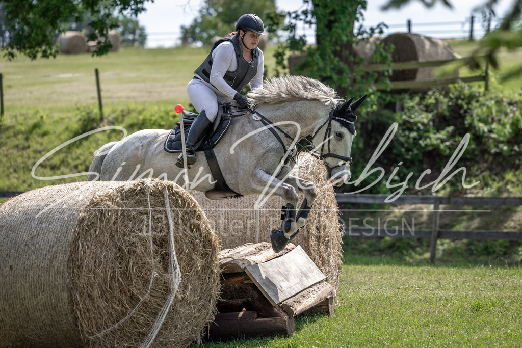 20260523-_3LI9115 | Tierfotografie Pferde, Hunde, Katzen, Haustiere.
Turnierfotografie Reitturniere, Reiten, Springreiten, Dressur in Hanau, dem Main-Kinzig-Kreis und dem Rhein-Main- Gebiet um Frankfurt