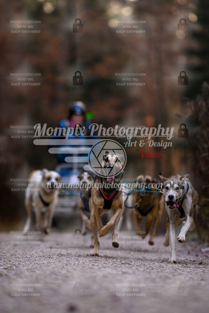MompixPhotography_DM_AKDM_SO_2025_Wagen-3 | PayLife