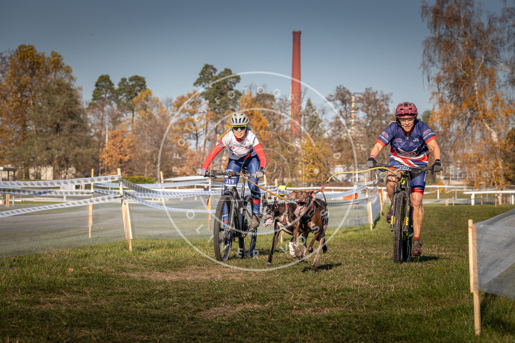 CaniXpix_0L8A5668 | Hundefotografie, Tierfotograf, Pfotenfotografie, Fotoshooting Hund, Hunde Portrait, Hundesport, Hundeportraits, Heideshooting, Hunde, Sportfotograf, Hundefotograf, Turnierhundsport, THS,  - Realisiert mit Pictrs.com
