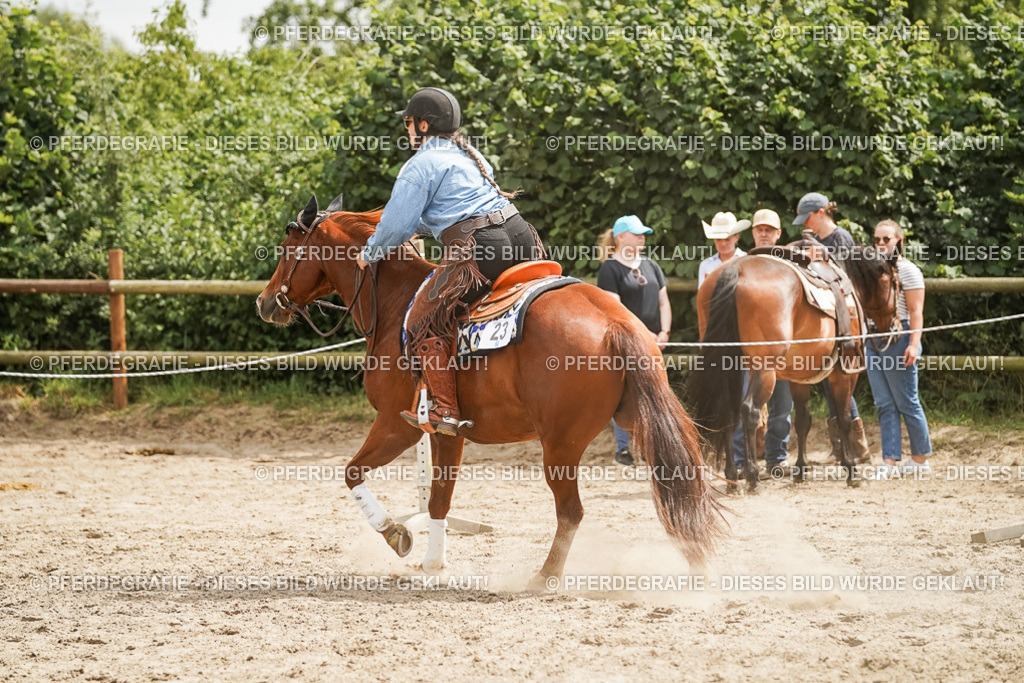 DSC00108 | Pferdegrafie