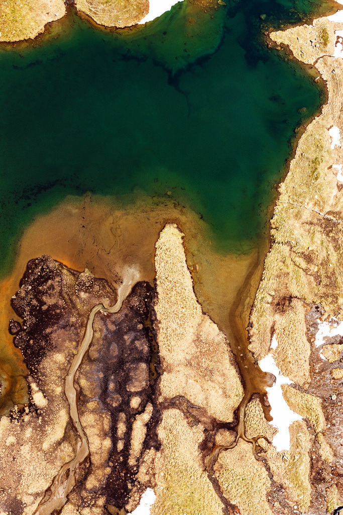 dr__0026351.jpg | RANEBURGER SEE 25.06.2019 Uferbereiche am Seegebiet des Raneburger See in den Alpen in Tirol, Österreich. // Riparian areas on the lake area of Raneburger See in a forest area in in Tirol, Austria. Foto: Daniel Reiter