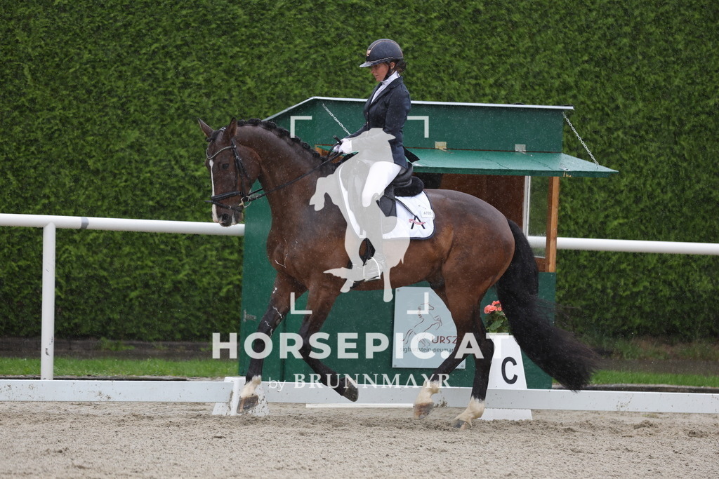 0P6A0391 | Willkommen bei Brunnmayr - Design & Fotografie – Ihrem Spezialisten für Reitturniere und Pferdeveranstaltungen in Oberösterreich, Salzburg und Bayern! Seit über 17 Jahren sind wir leidenschaftlich dabei.