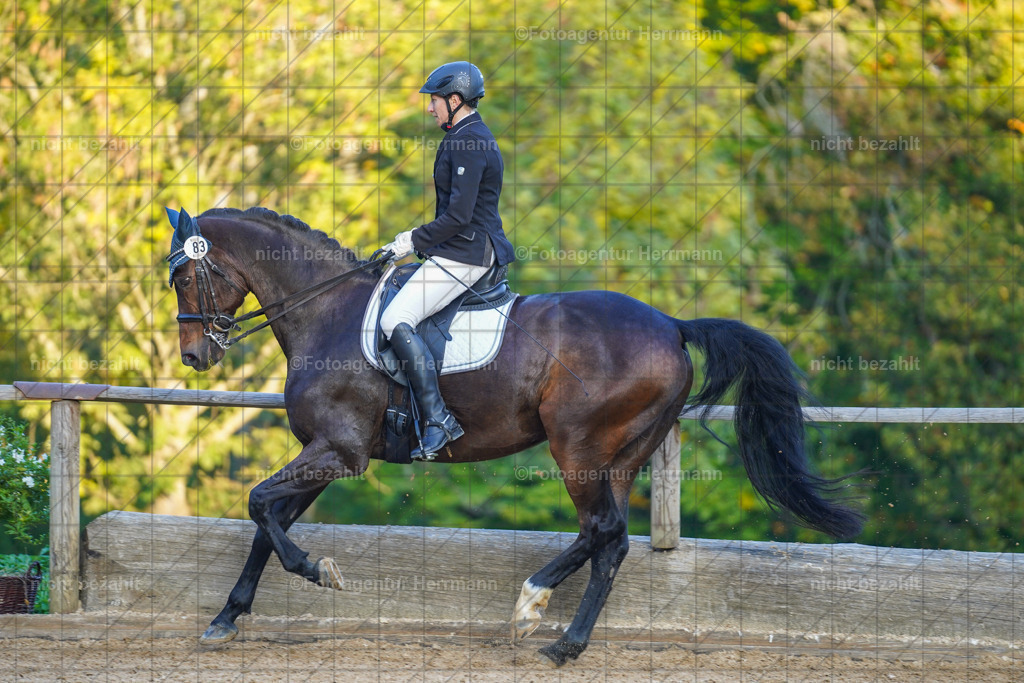 20221007-FAH00515 | Diessen am Ammersee, 2022, Dressur- und Springturnier, Reitsportbilder, Turnierfotografen Bayern, Pferdefotografen, Fotoagentur Herrmann, Turnierbilder