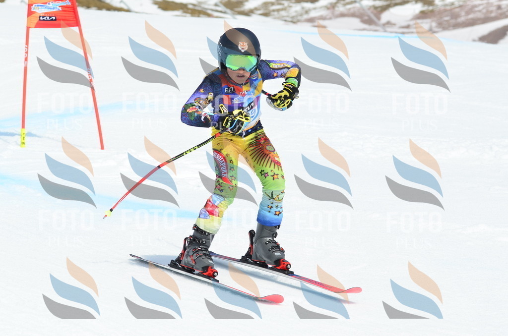 _ELE2311 | holidayphoto