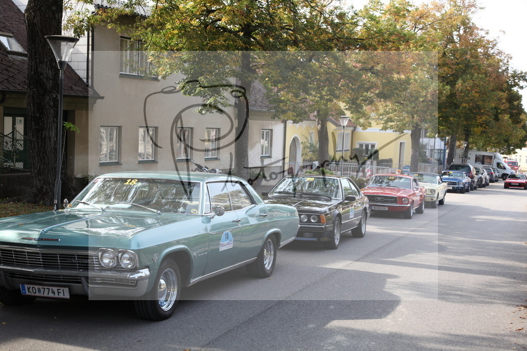 IMG_2136 | Gerhard Witt