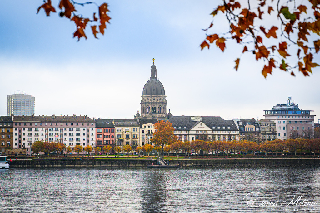 DSC_4384 | Fotografien, Fotos und Bilder aus Mainz, Frankfurt, Wiesbaden und anderen Orten auf der Welt - Fotografiert von Darius Metzner