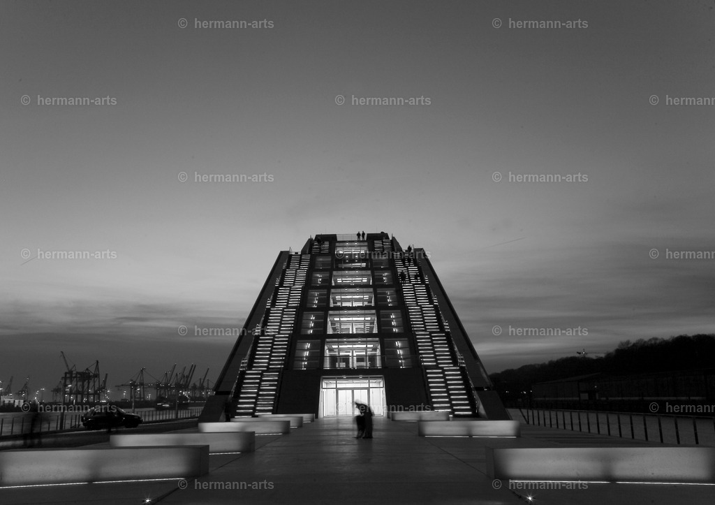 Hamurg_Arts-003 | Photo Foto Kunst Art schwarzweiss Bilder Rheine Münster Berlin Blumen 