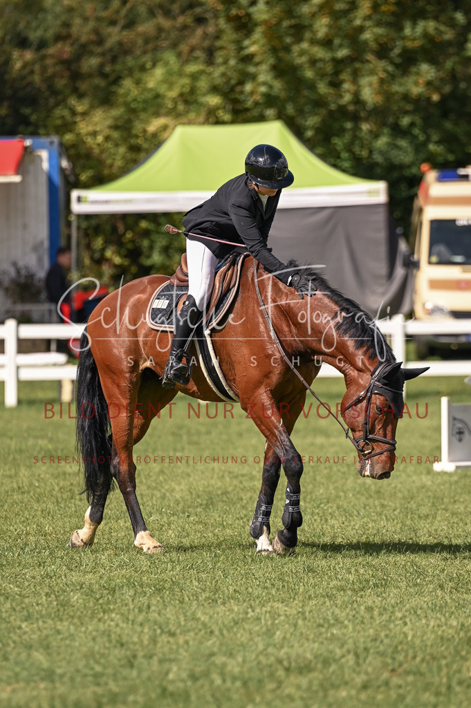 Schugtsche-Düren.2024-08.Amat.Springprf.L-34 | Schugtsche Fotografie - Realisiert mit Pictrs.com