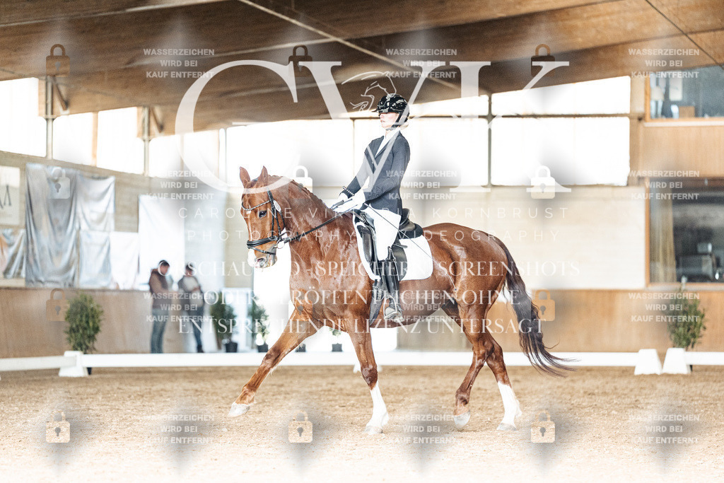CK902409 | Turnierfotografie Pferdefotografie Trier Rheinland-Pfalz Pferdesport Reitsport Tierfotografie Sportfotografie Pferdevideo Pferdevideografie Equestrianvideography equestrianphotography  - Realisiert mit Pictrs.com