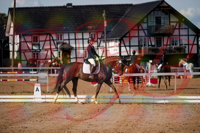 2026_10_03_Siefer-Hof_114955_Z63_28345090 | Professionelle Reitsport-, Turnier- und Eventfotografie von Robert Broda. Galerien mit ausgewählten und bearbeiteten Bildern direkt online ansehen und bestellen.