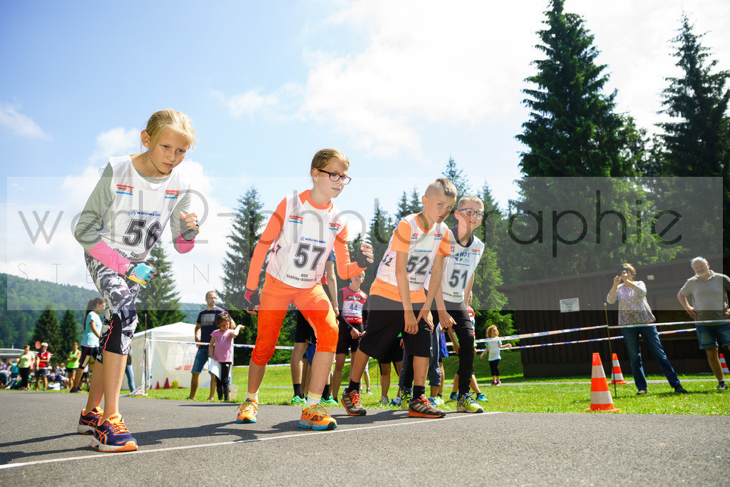 Tag Biathlon Scheibe-Alsbach | TAG BIATHLON am 10. Juni 2018 auf der Biathlonanlage "Am Rußtiegel" in Scheibe-Alsbach