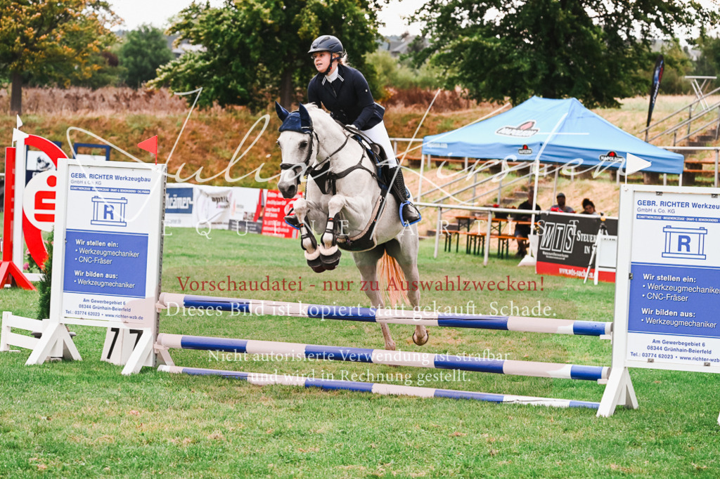 DSC_6025 | Pferde- und Turnierfotografie in Westsachsen. Pferdeportraits, Auftragszeichnungen und intuitive Kunst.