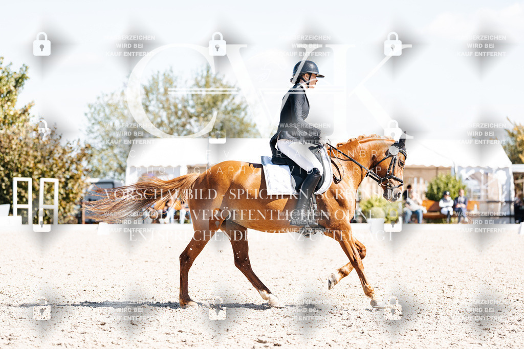 CK903581 | Turnierfotografie Pferdefotografie Trier Rheinland-Pfalz Pferdesport Reitsport Tierfotografie Sportfotografie Pferdevideo Pferdevideografie Equestrianvideography equestrianphotography  - Realisiert mit Pictrs.com