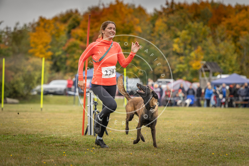 Pfotenfotografie_DV3A4128 | Hundefotografie, Tierfotograf, Pfotenfotografie, Fotoshooting Hund, Hunde Portrait, Hundesport, Hundeportraits, Heideshooting, Hunde, Sportfotograf, Hundefotograf, Turnierhundsport, THS,  - Realisiert mit Pictrs.com