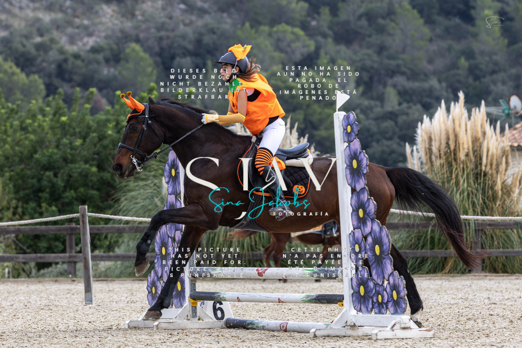 IMG_2240 | s-jay-photography - Realisiert mit Pictrs.com