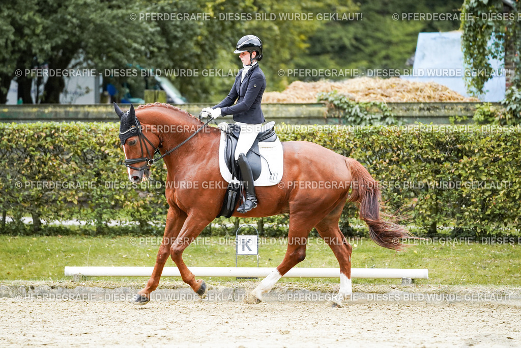 DSC00487 | Pferdegrafie