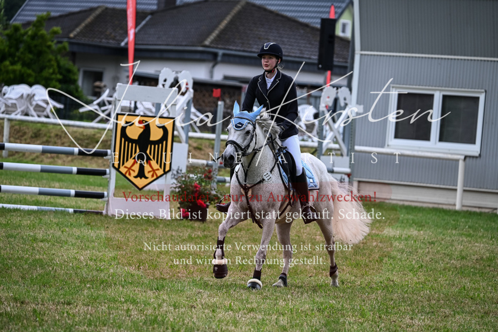 DSC_8519 | Pferde- und Turnierfotografie in Westsachsen. Pferdeportraits, Auftragszeichnungen und intuitive Kunst.