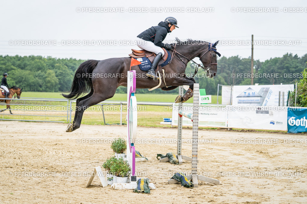 DSC01377 | Pferdegrafie