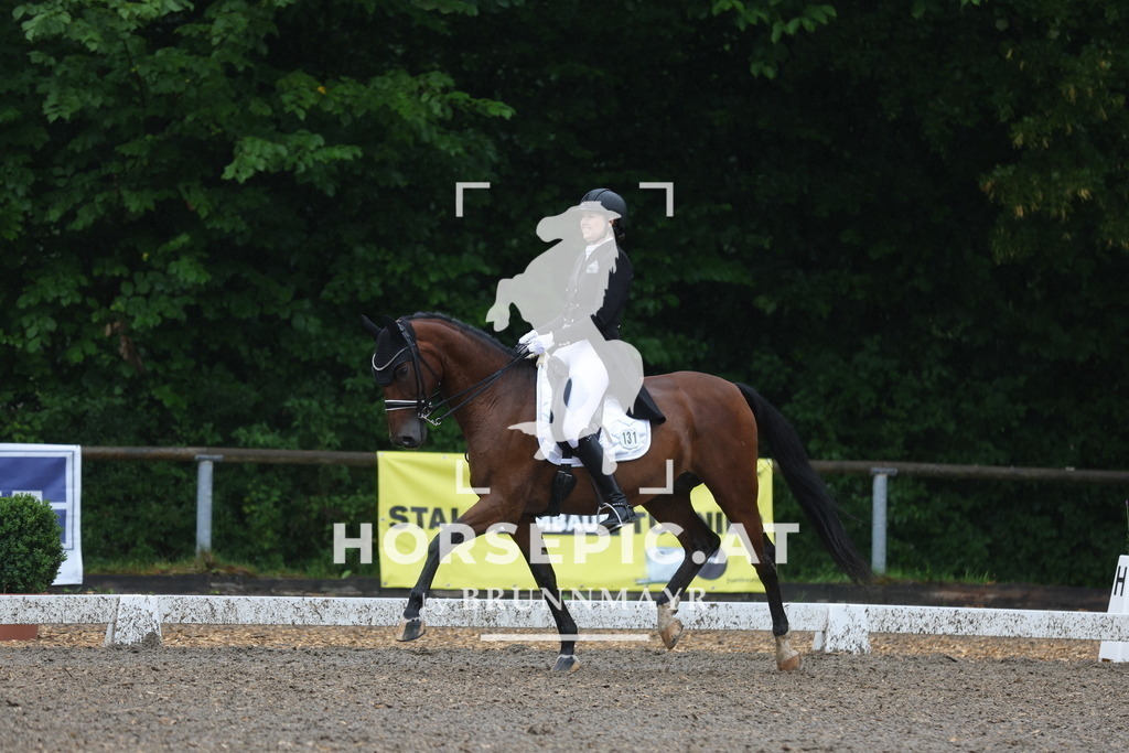 0P6A9477 | Willkommen bei Brunnmayr - Design & Fotografie – Ihrem Spezialisten für Reitturniere und Pferdeveranstaltungen in Oberösterreich, Salzburg und Bayern! Seit über 17 Jahren sind wir leidenschaftlich dabei.