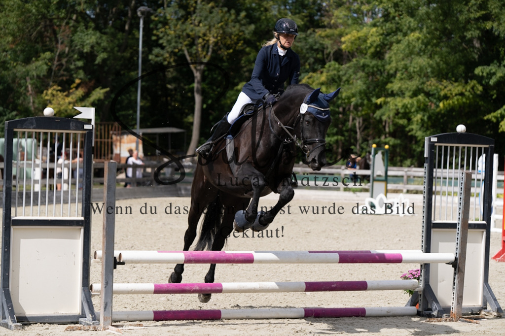 A7V07402 | Turnier/Reitfotograf