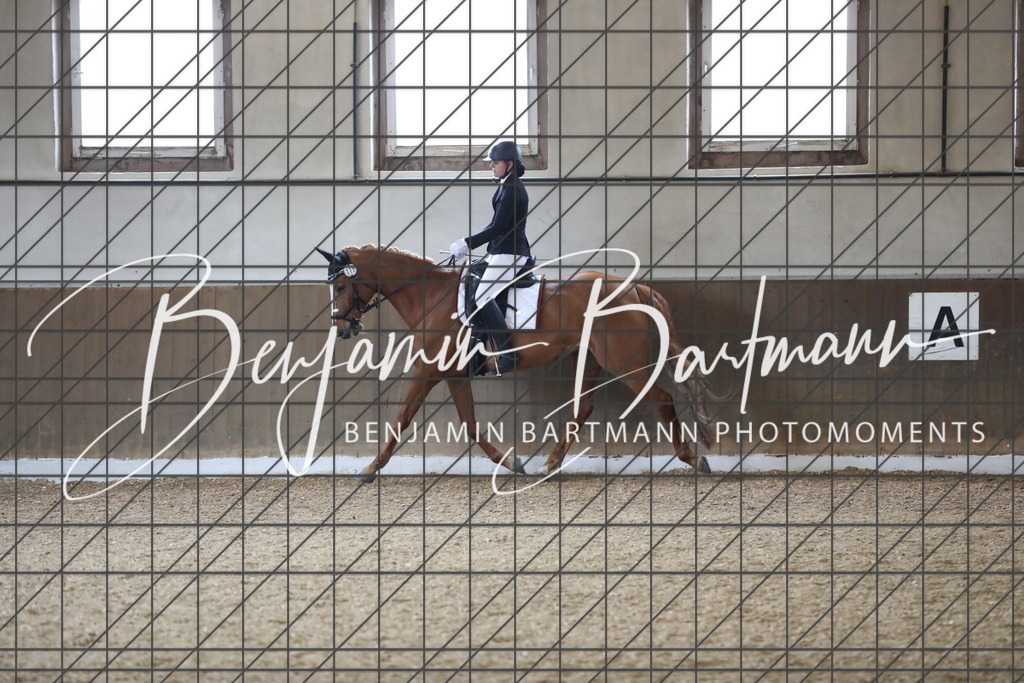 AZ2A0798 | Benjamin Bartmann Photomoments
