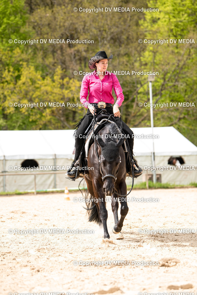 Heiligenwald Tag 1-764 | dv-media-shop - Realisiert mit Pictrs.com