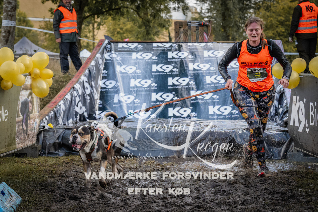 1517_ZZ94364 | kk-dogfotos
