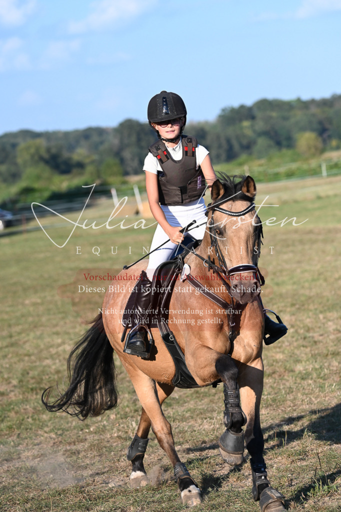 DSC_9180 | Pferde- und Turnierfotografie in Westsachsen. Pferdeportraits, Auftragszeichnungen und intuitive Kunst.