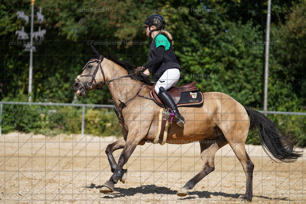 20240824-FAH08293 | Thierhaupten 2024, Bayerisches Landesponyturnier, Turnierbilder, Ponybilder, Turnierfotografen Bayern, Fotoagentur Herrmann