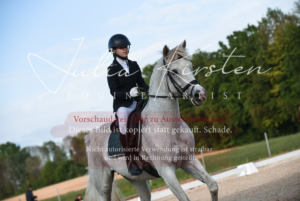 20230518_JK-Röhrsdorf-12-1243 | Pferde- und Turnierfotografie in Westsachsen. Pferdeportraits, Auftragszeichnungen und intuitive Kunst.