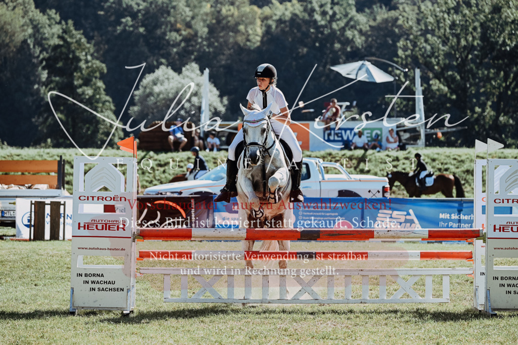 DSC_6081 | Pferde- und Turnierfotografie in Westsachsen. Pferdeportraits, Auftragszeichnungen und intuitive Kunst.