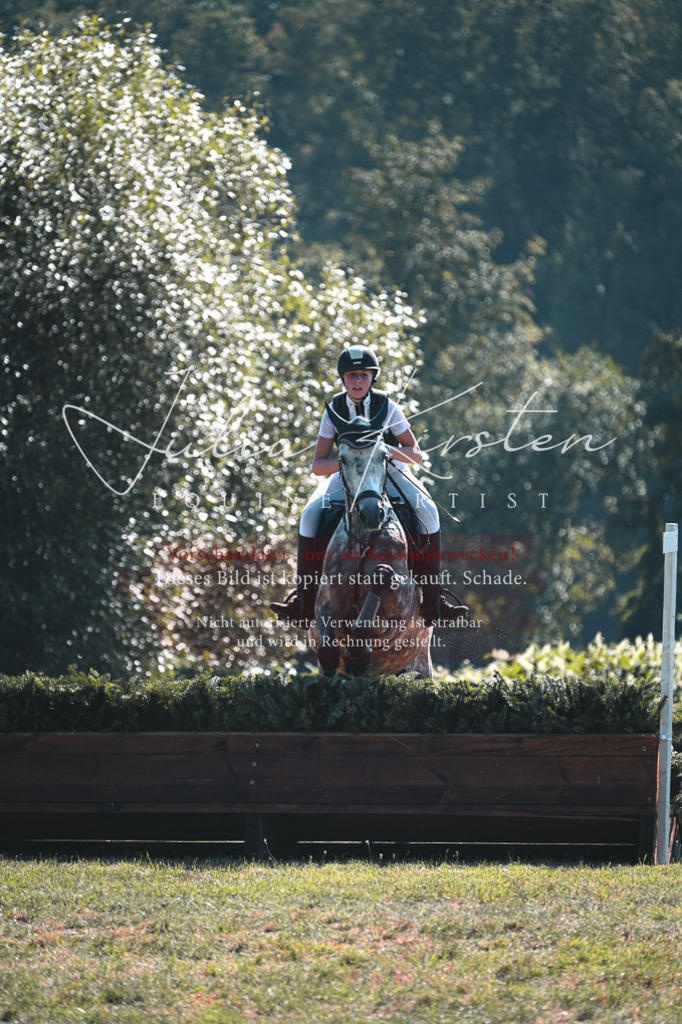 DSC_7841 | Pferde- und Turnierfotografie in Westsachsen. Pferdeportraits, Auftragszeichnungen und intuitive Kunst.
