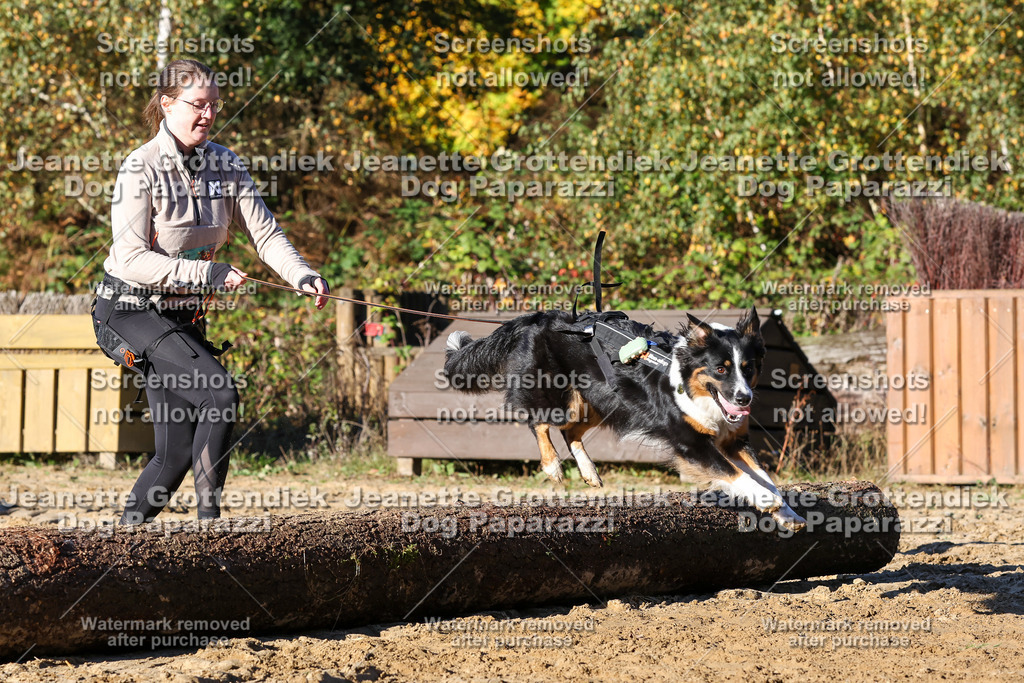Dog Paparazzi - Strongdog 10-25-1573 | Dog Paparazzi Jeanette Grottendiek Fotografie & Videografie - Realisiert mit Pictrs.com