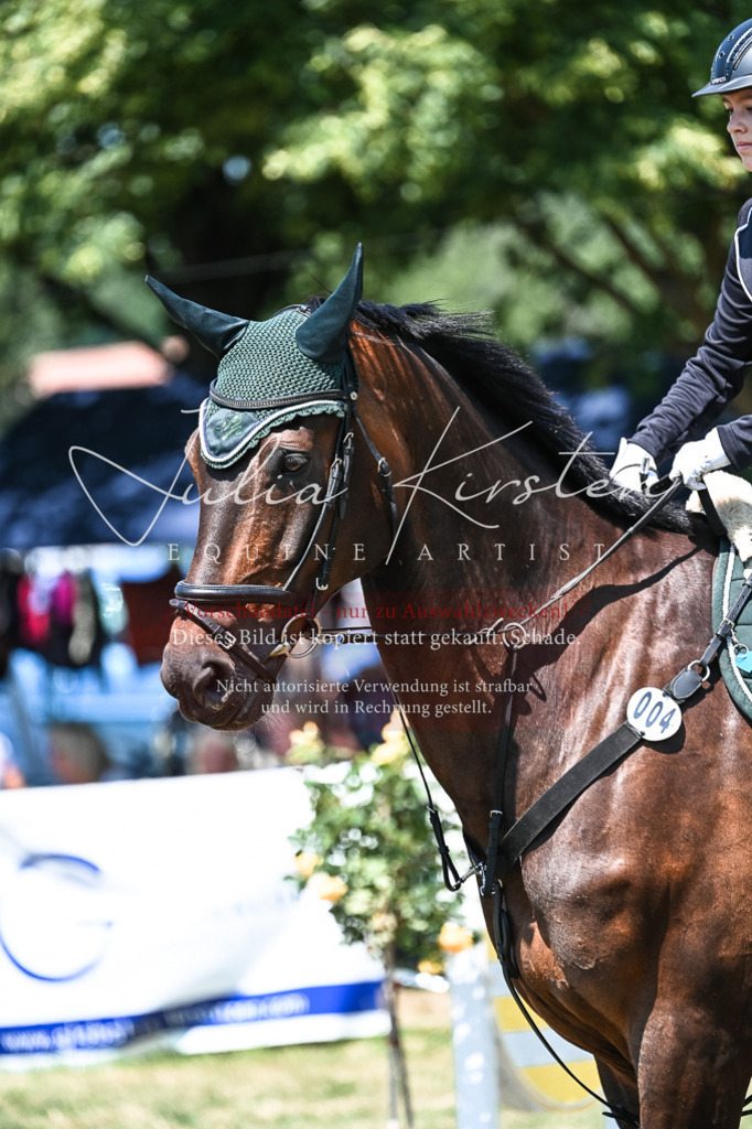 DSC_0150 | Pferde- und Turnierfotografie in Westsachsen. Pferdeportraits, Auftragszeichnungen und intuitive Kunst.