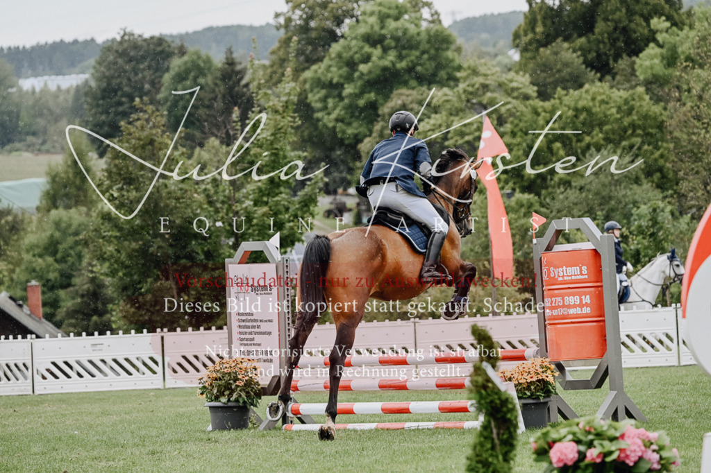 DSC_6988 | Pferde- und Turnierfotografie in Westsachsen. Pferdeportraits, Auftragszeichnungen und intuitive Kunst.