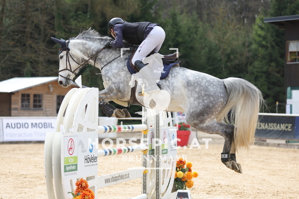 0P6A6793 | Willkommen bei Brunnmayr - Design & Fotografie – Ihrem Spezialisten für Reitturniere und Pferdeveranstaltungen in Oberösterreich, Salzburg und Bayern! Seit über 17 Jahren sind wir leidenschaftlich dabei.