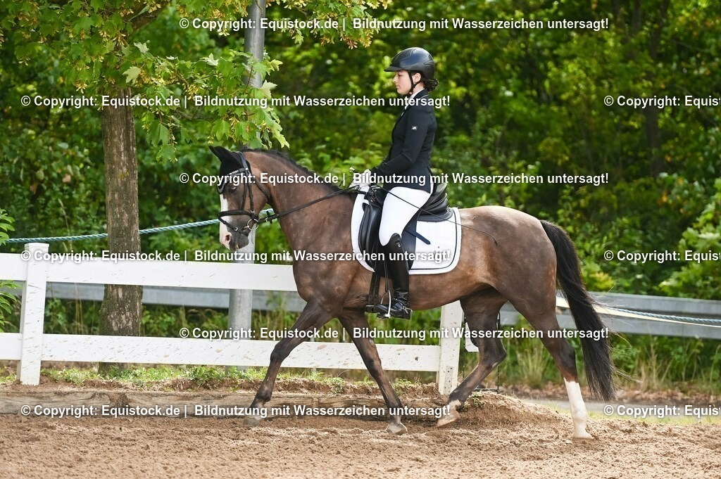 20230716_10-1_Reiter-WB Schritt - Trab - Galopp_0173 | equistock