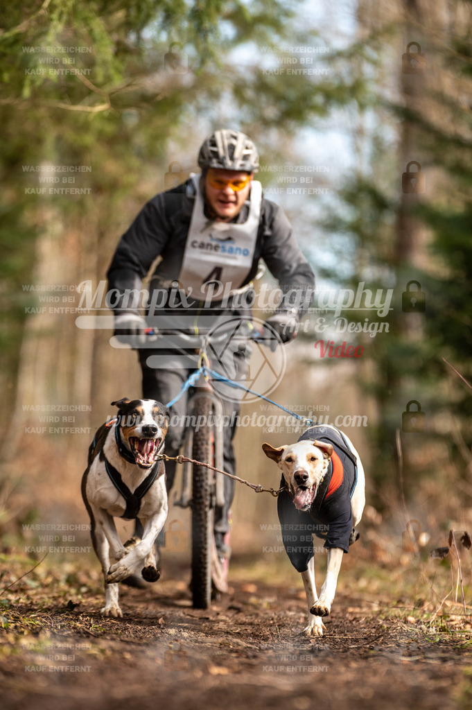 Reiat2023_SAM_DS2_5km_2H-20 | mompixphotography
