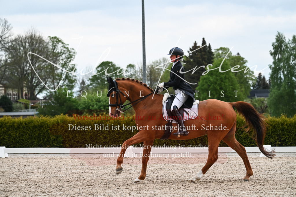 20230513_JK-Röhrsdorf-13-560 | Pferde- und Turnierfotografie in Westsachsen. Pferdeportraits, Auftragszeichnungen und intuitive Kunst.