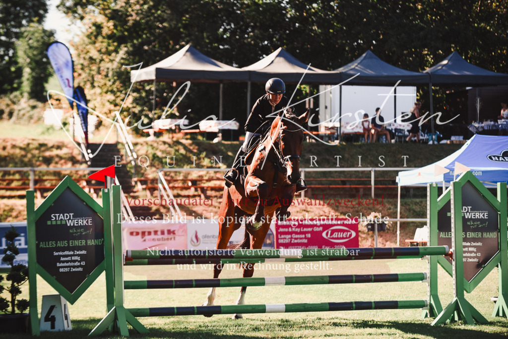 DSC_2243 | Pferde- und Turnierfotografie in Westsachsen. Pferdeportraits, Auftragszeichnungen und intuitive Kunst.