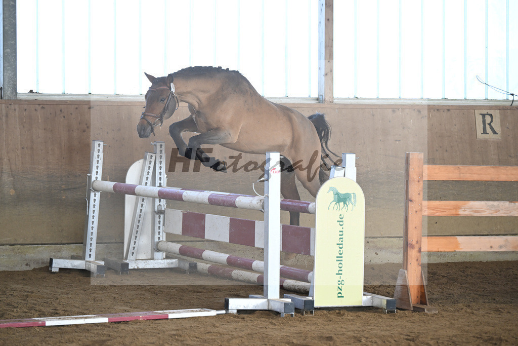 Kat-Nr. 9 More of Hollywood v. Mescal_Drude_49250237 | hf-fotografie - Realisiert mit Pictrs.com