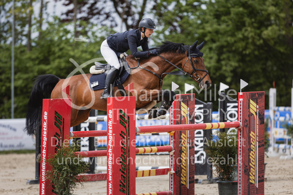 250504_SpengeW_M2-Spr-427 | Deine schönsten Turniermomente als professionelle Fotos! Entdecke hochwertige Pferdesport-Fotografie im Online-Shop. Jetzt Fotos finden & bestellen!