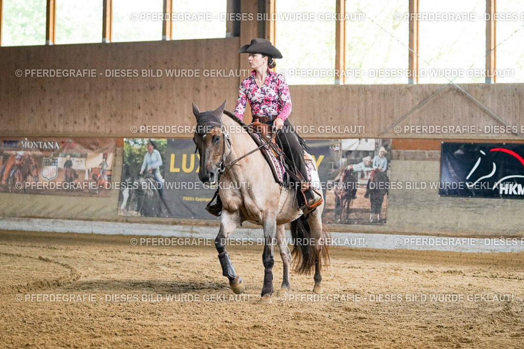 DSC05273 | Pferdegrafie