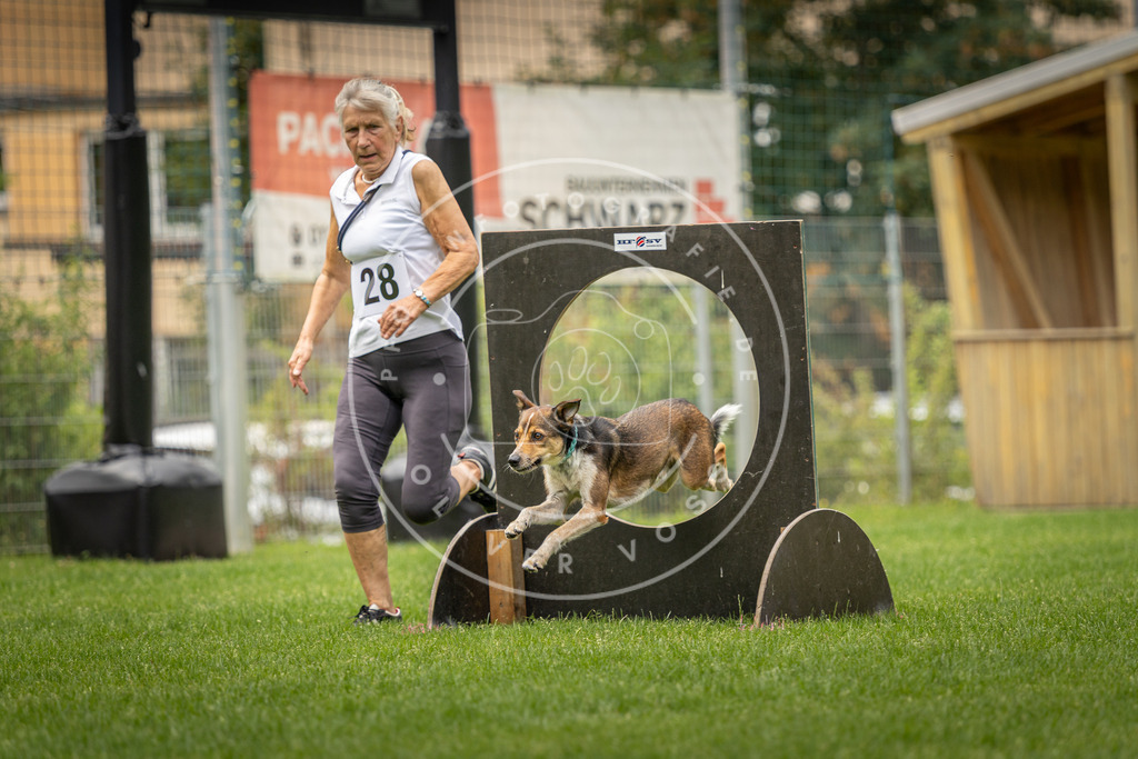 Pfotenfotografie_DV3A8770 | Hundefotografie, Tierfotograf, Pfotenfotografie, Fotoshooting Hund, Hunde Portrait, Hundesport, Hundeportraits, Heideshooting, Hunde, Sportfotograf, Hundefotograf, Turnierhundsport, THS,  - Realisiert mit Pictrs.com