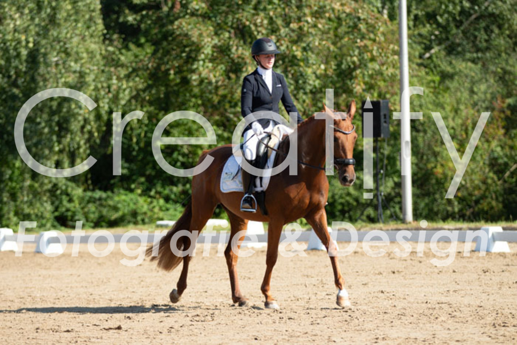 IMG_7586 | Creatify Fotografie